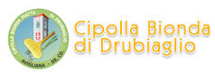 Cipolla Bionda piatta di Drubiaglio